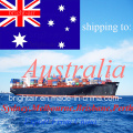 Proveedor de logística Ocean Sea Freight Cargo Shipping Forwarder de China a Australia